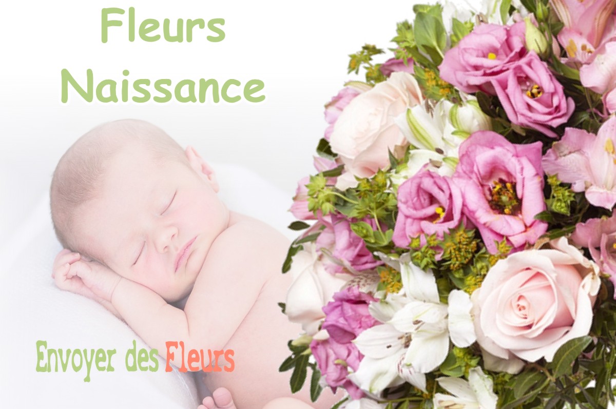 lIVRAISON FLEURS NAISSANCE à LANGESSE